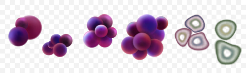 세포는 세포핵, 세포막, 세포질로 구성되어있다.