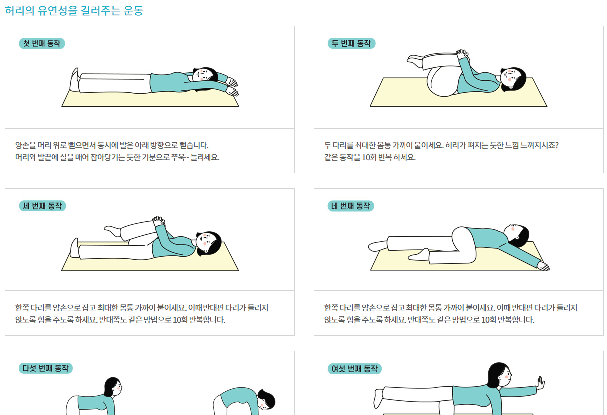 허리강화 운동법