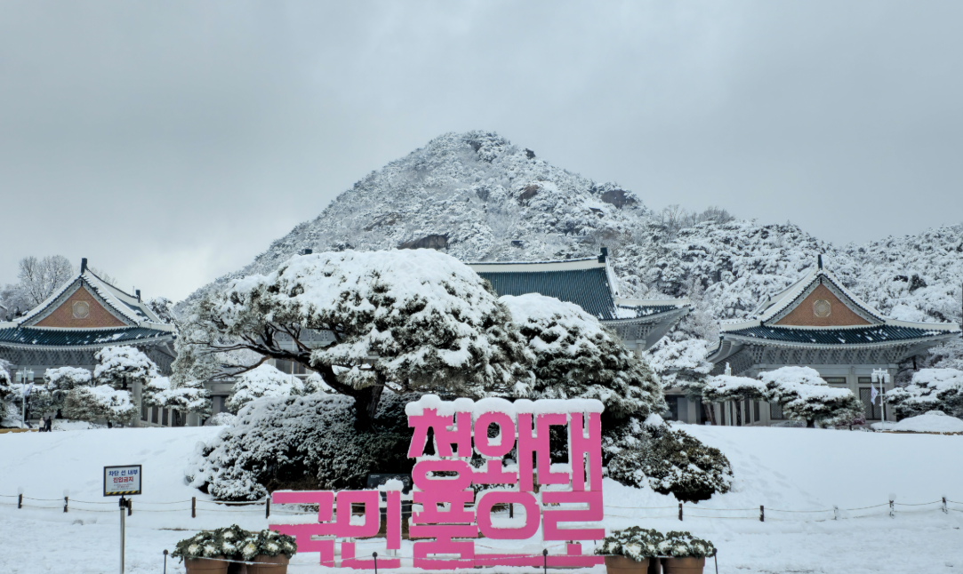 청와대 관람 신청