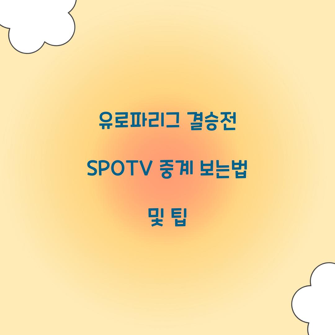 유로파리그 결승전 SPOTV 중계 보는법