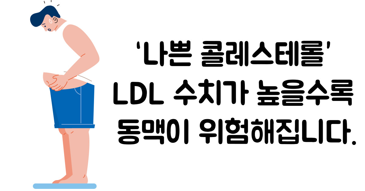 콜레스테롤 정상수치