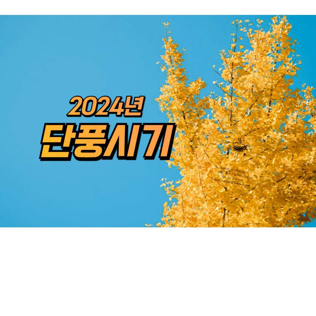 단풍시기