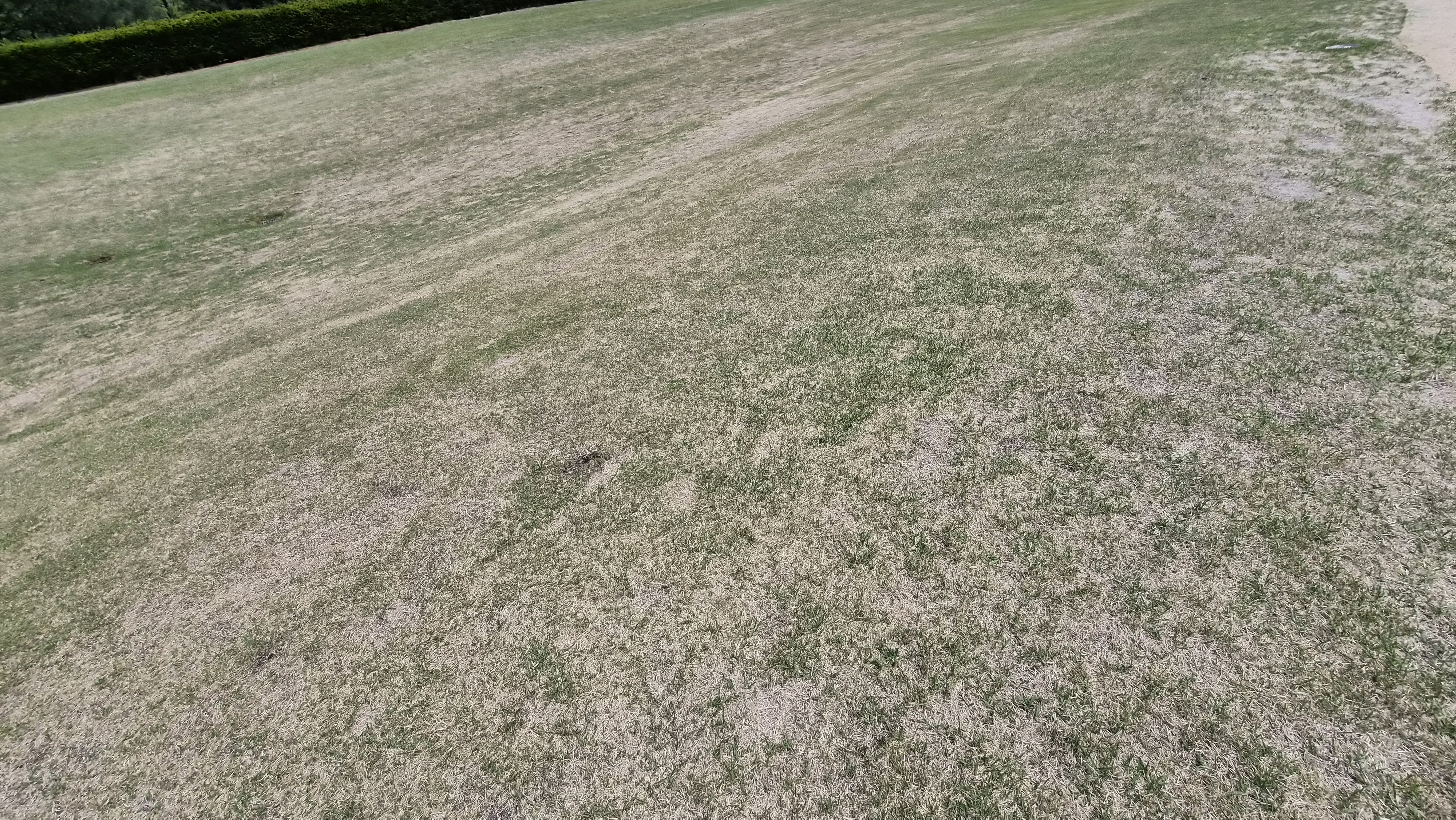 포웰cc 프린세스 라운드 후기