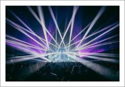 노사연 님그림자