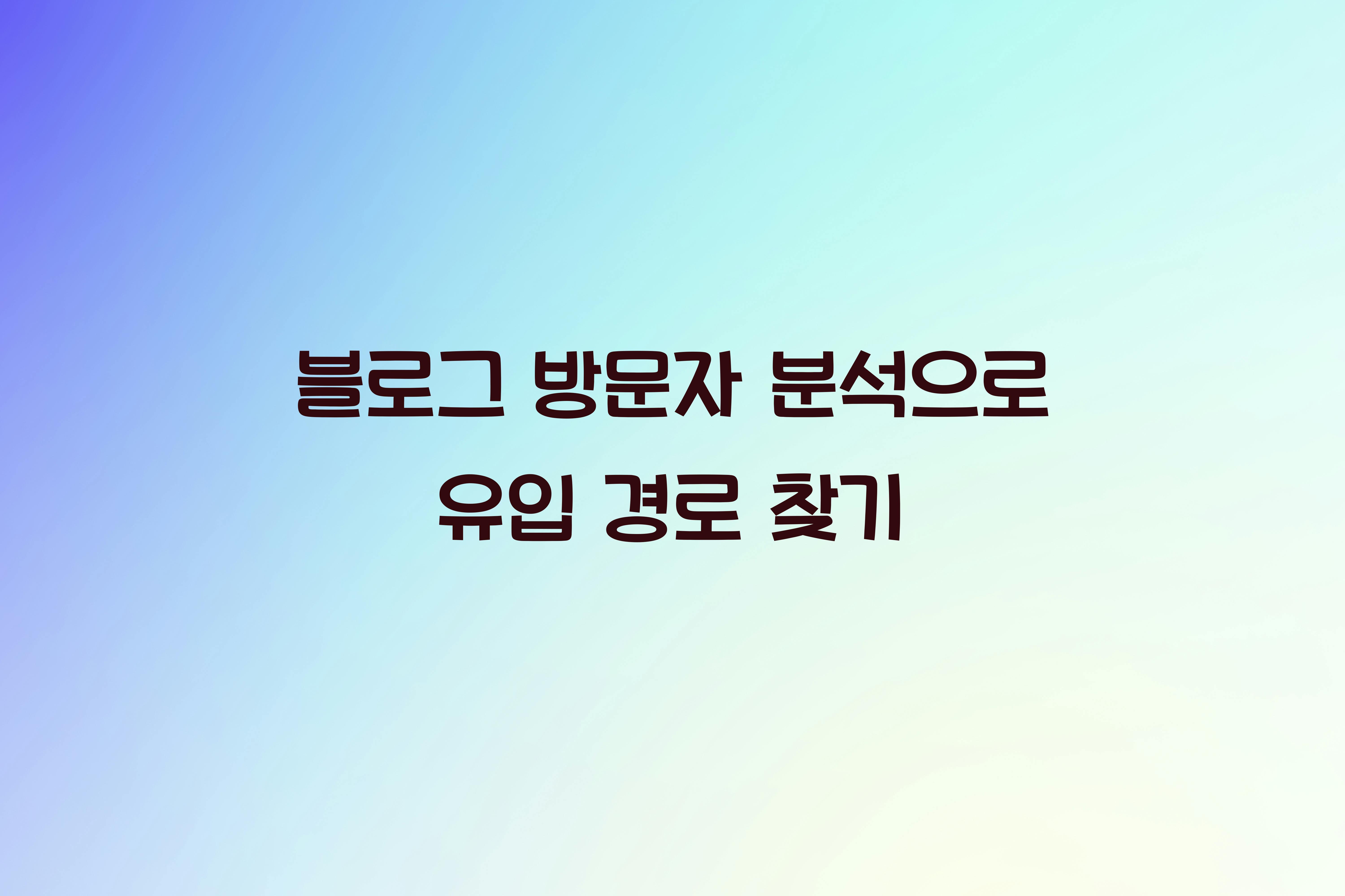 블로그 방문자 분석