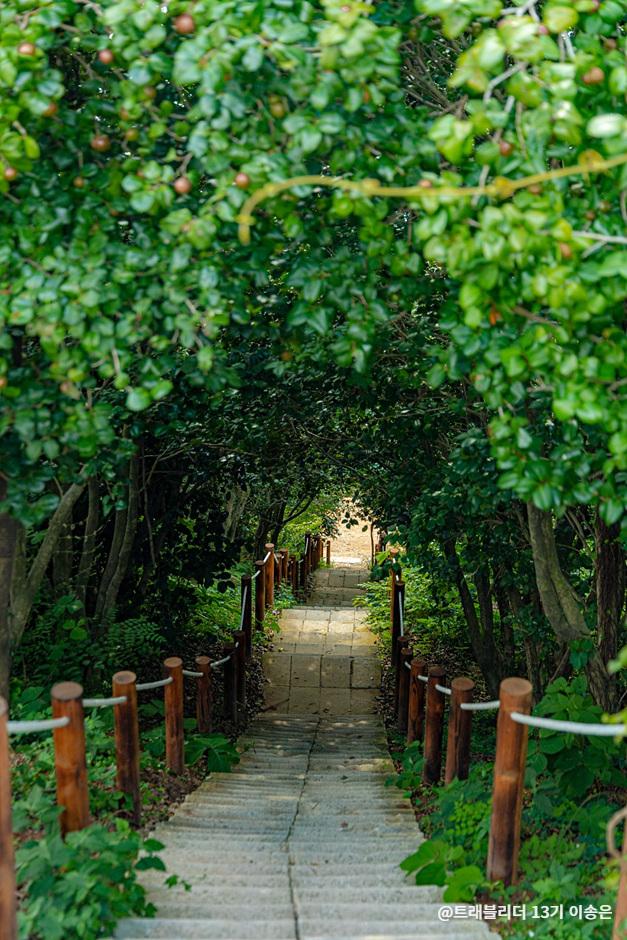 거제가볼만한곳