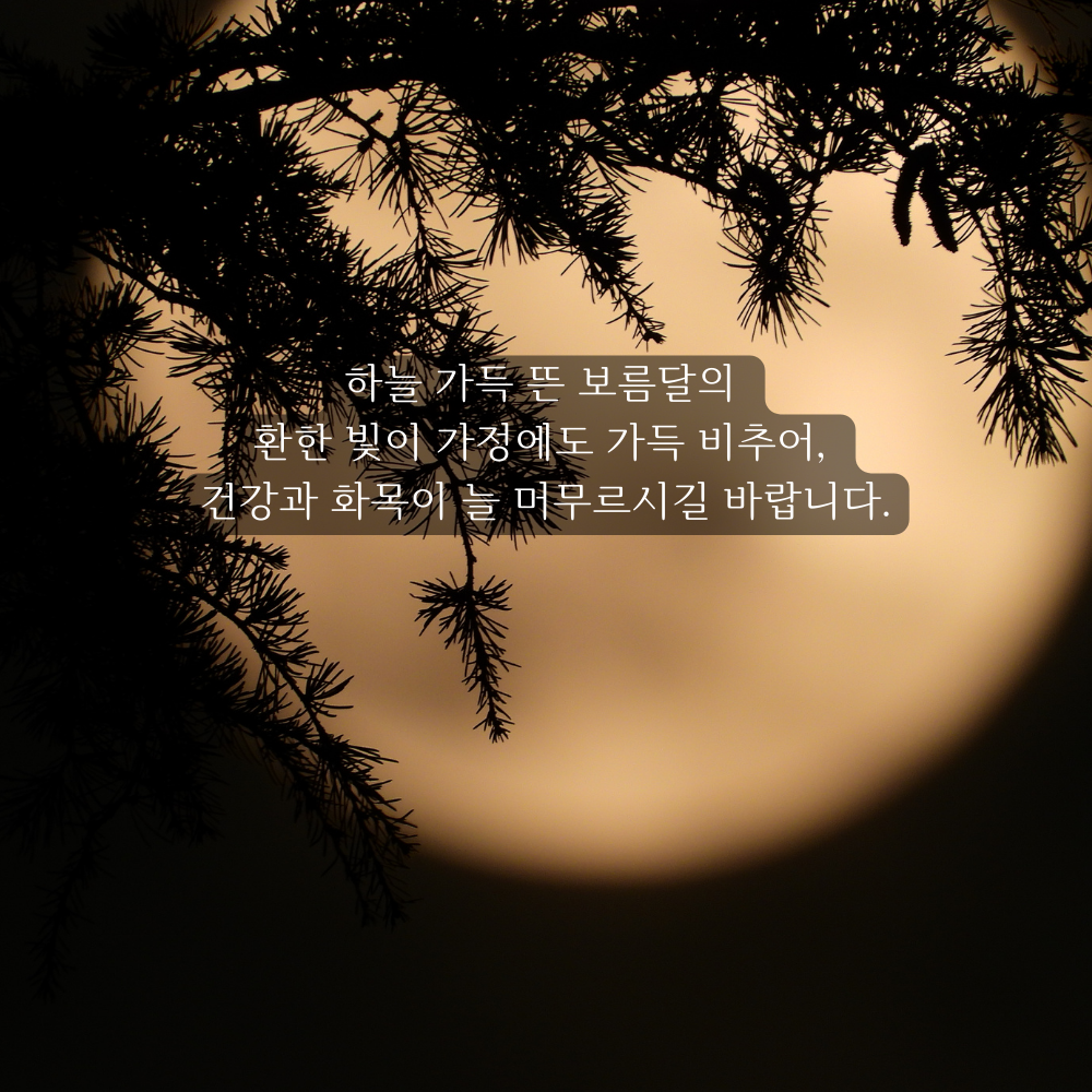 추석 인사말 한가위 인사 이미지 문구 모음집 안부