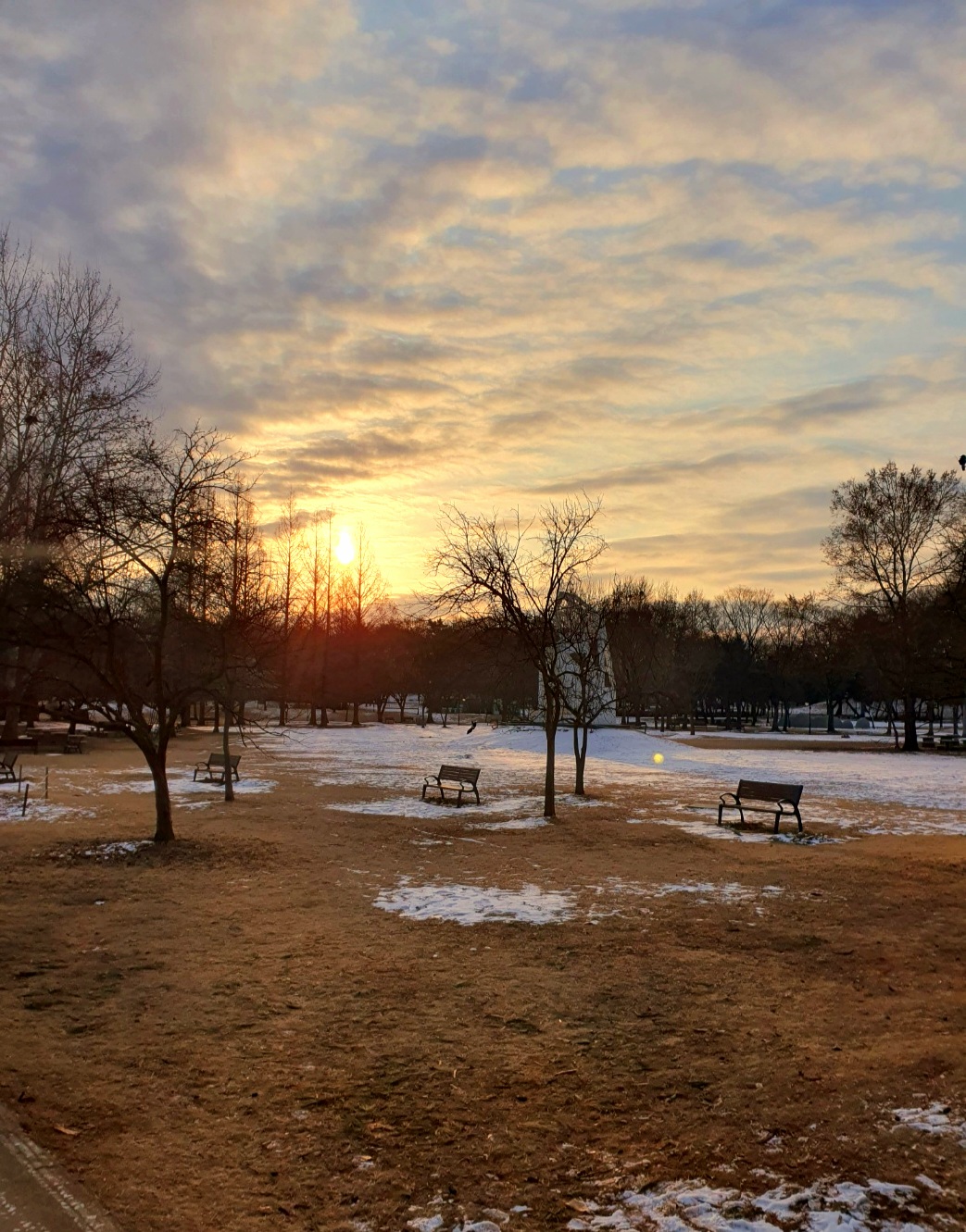 공원에-벤치가-많아요.