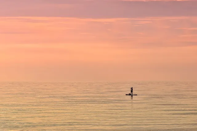 트렌드코리아 2025 키워드 완벽 정리_6