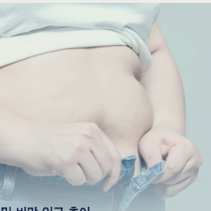 비만 치료제 관련주 대장주 TOP7 : GLP-1