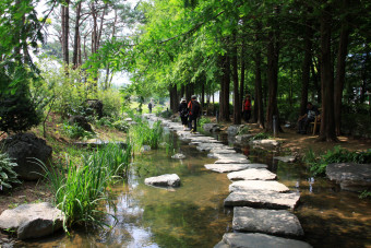 2025 봄 연인과 함께하는 로맨틱 캠핑 스팟, 봄나들이 캠핑