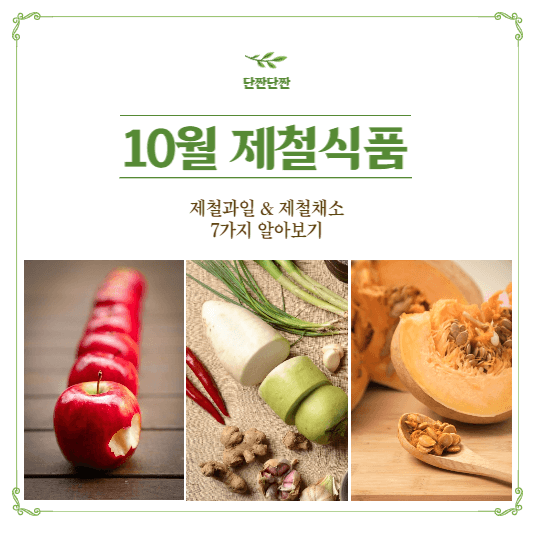 10월 제철과일 제철채소