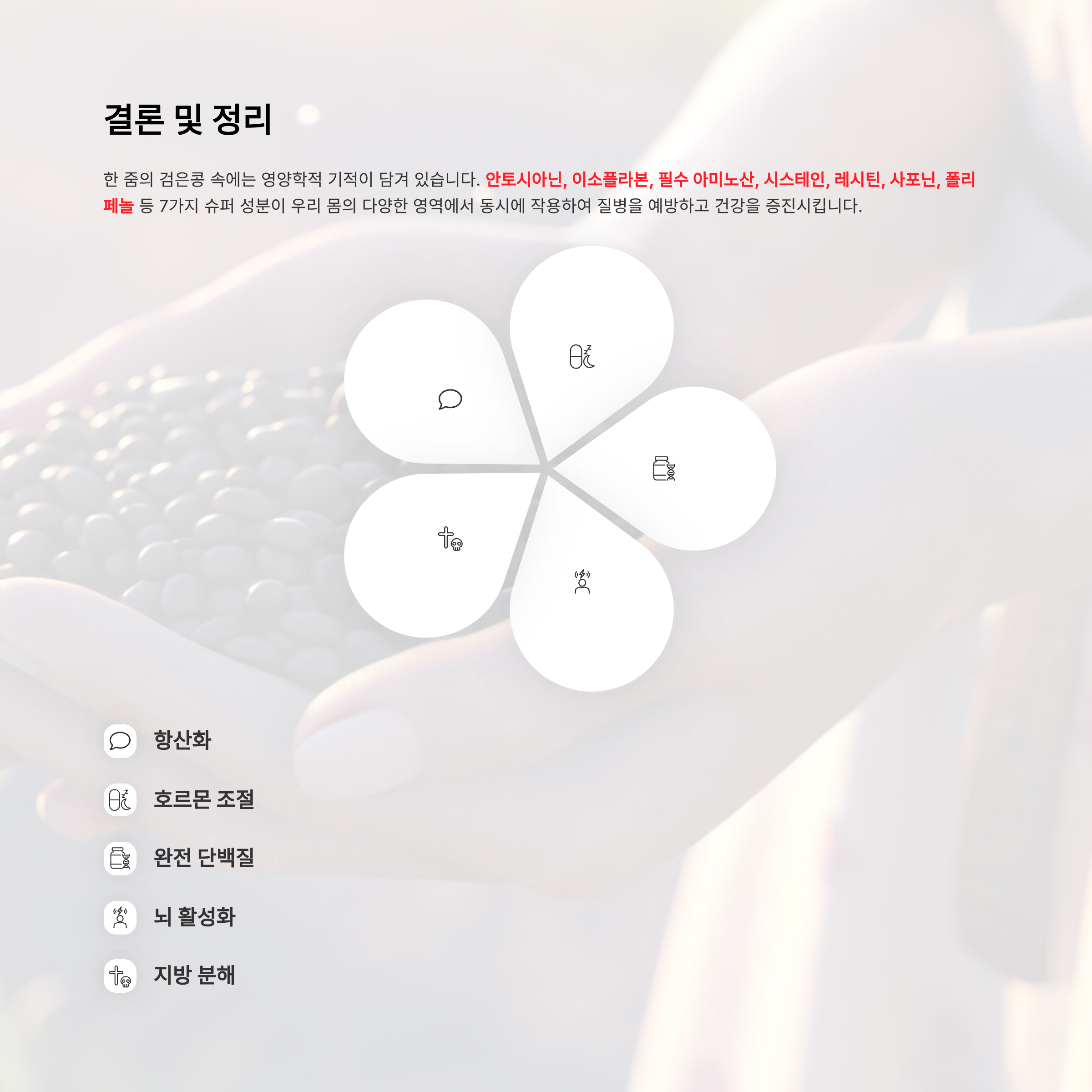 검은콩 영양성분 2025 완벽 가이드 – 한 줌 속 숨겨진 7가지 슈퍼 성분 총정리!