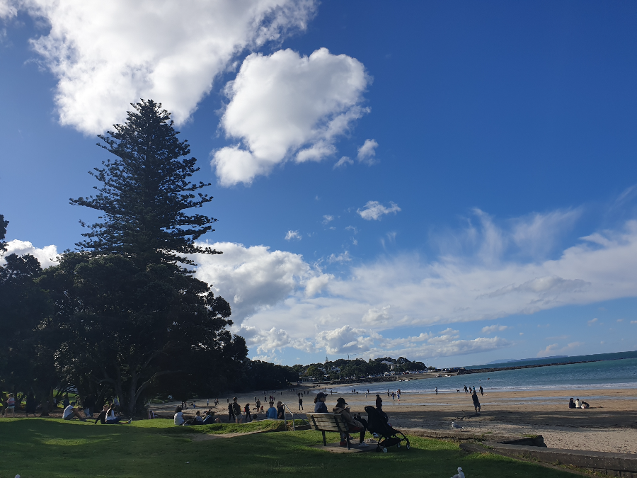 Takapuna Beach