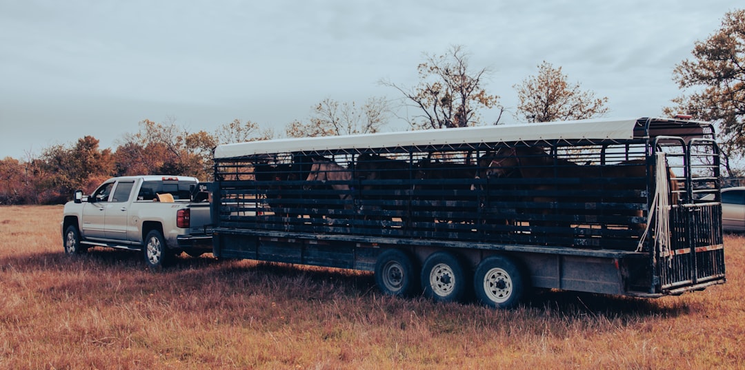5-ton truck