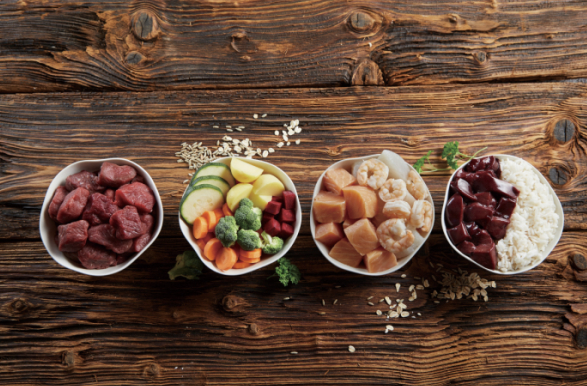 우리 아이 간식, 이제 직접 만들어요! 강아지 수제 간식 레시피 BEST 5