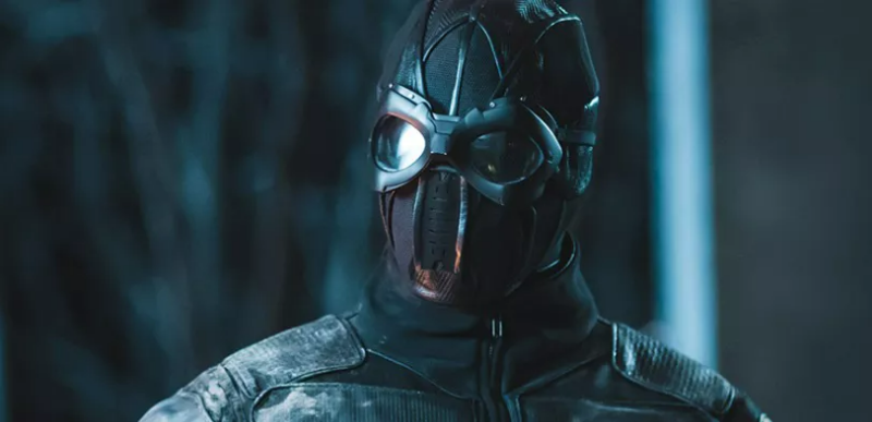 문화재 도둑 스컹크