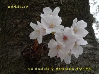 요한계시록 21장 : 새 하늘과 새 땅_20