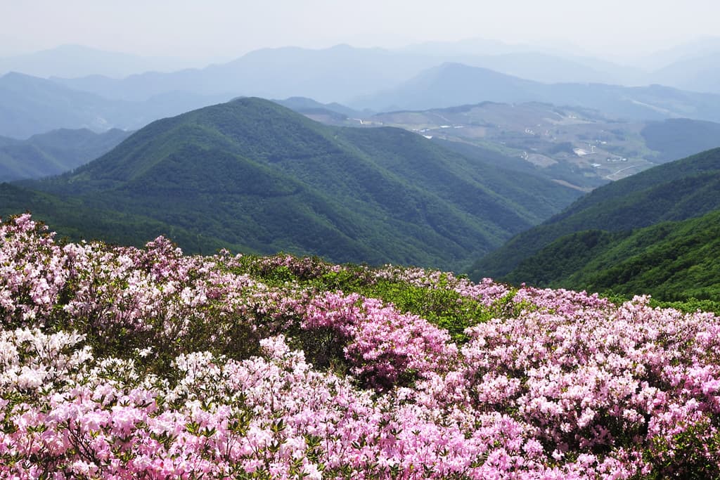 두위봉 철쭉제 산맥 페스티벌 1박 2일 추천 일정