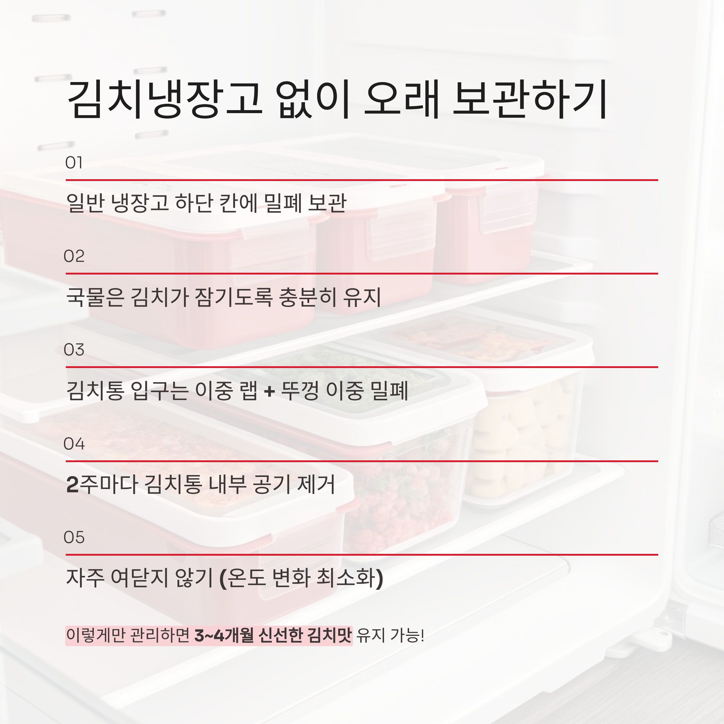 2025 김장김치 보관방법 완벽가이드 ❘ 김치 냉장고 없이도 오래 맛있게!