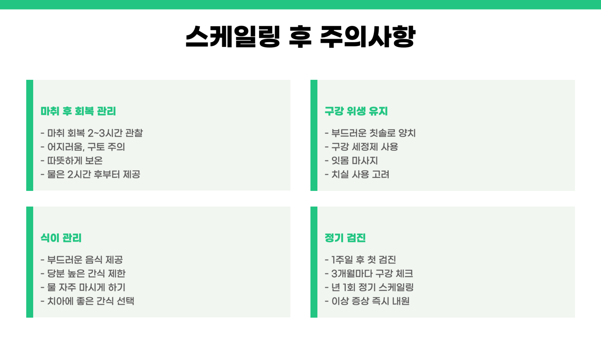 강아지 스케일링 주기 비용