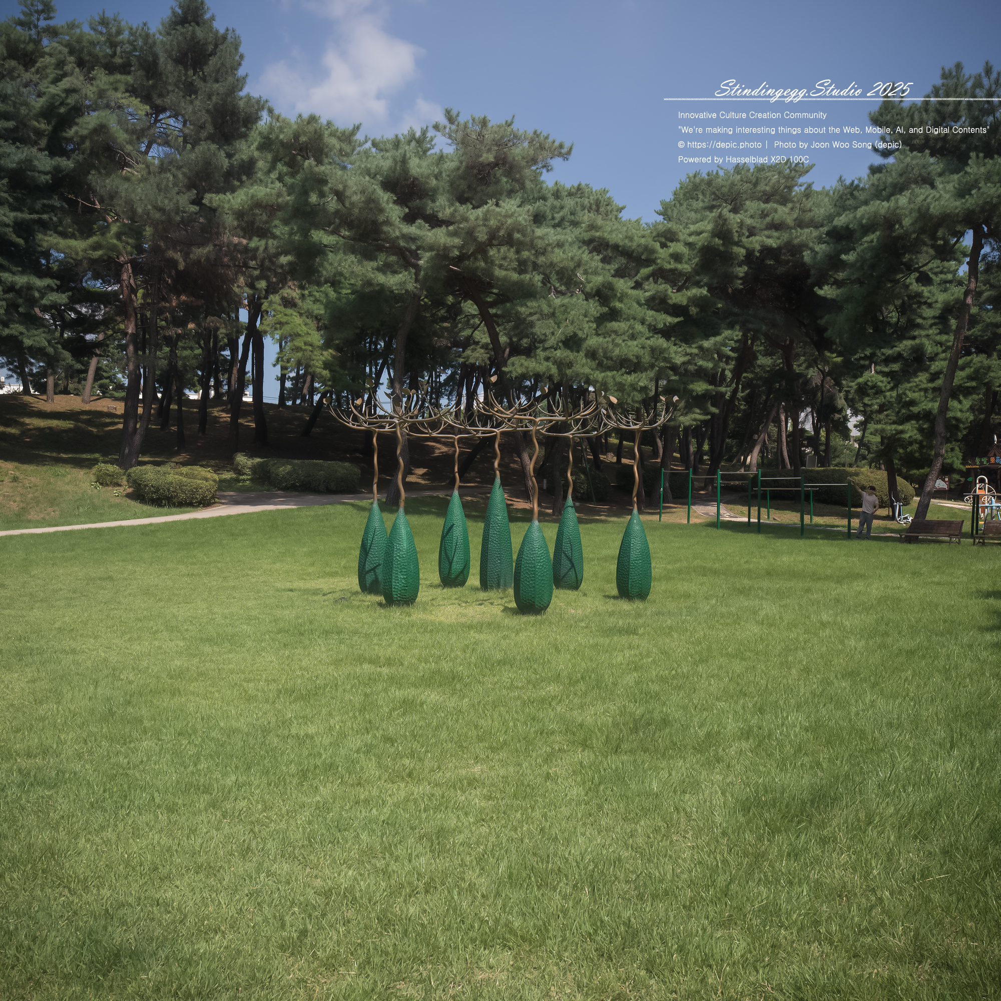 #청주 #솔밭공원 #공원