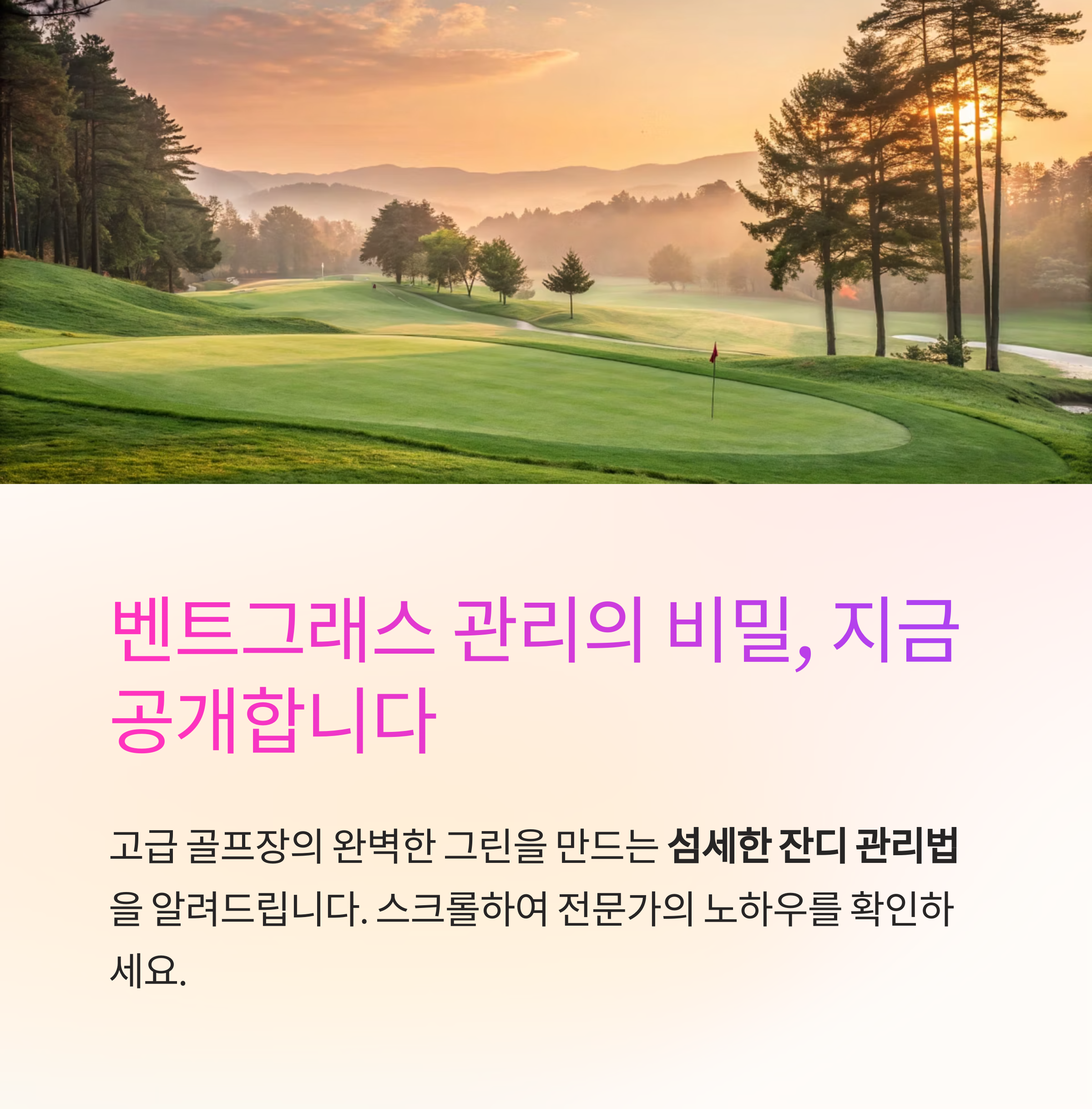 녹색의 결을 지키는 정밀한 잔디 관리 가이드