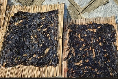 한국기행-울릉도-돌김