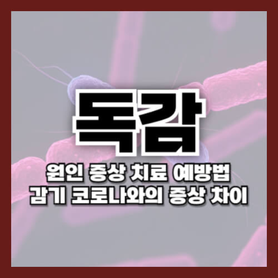 독감 증상
독감 유행
독감 격리
독감 격리기간
독감 약
감기
독감 종류
독감주사
독감 치료
독감 검사
b형 독감
독감 예방접종
독감 뜻
독감 예방
독감 전염
코로나