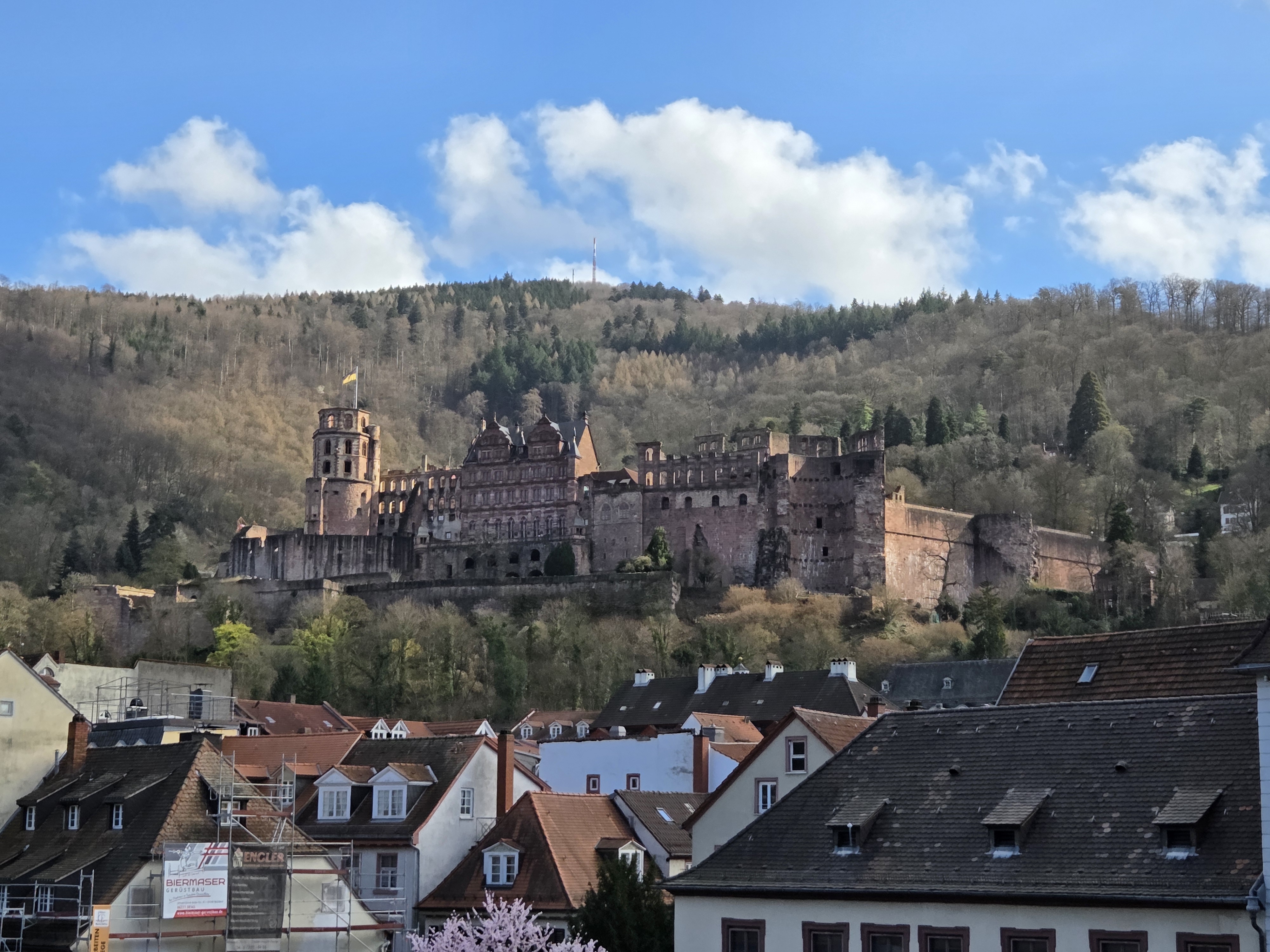 하이델베르크 성곽