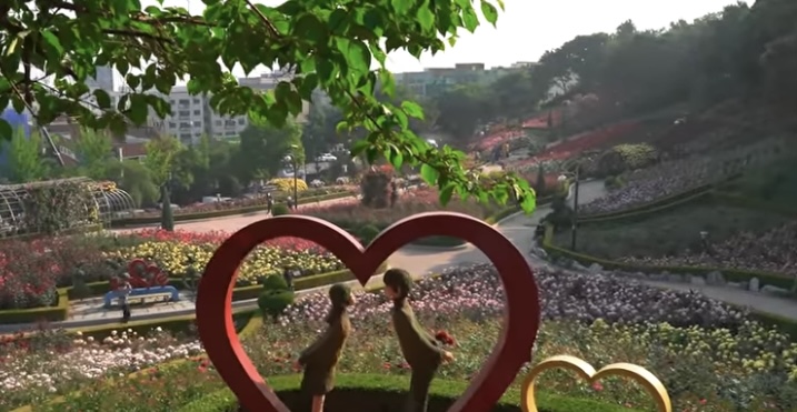 부천백만송이 장미원3