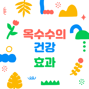 옥수수의 건강 효과, 여름엔 더 자주 먹어야 할 음식