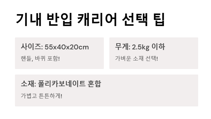 기내 반입 캐리어 사이즈 무게 총정리