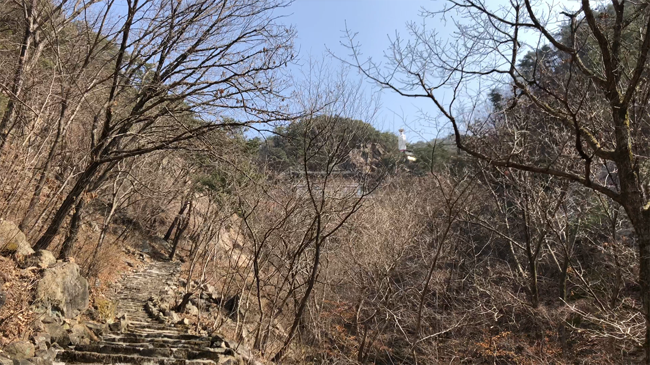 포천 금룡사 가는 계단