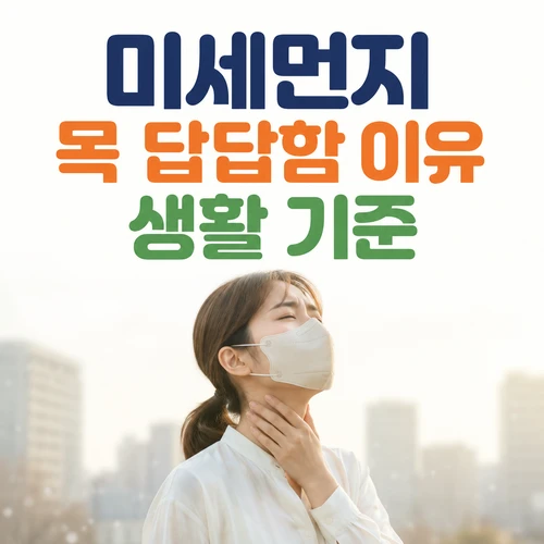 미세먼지 목 답답함 이유 생활 기준