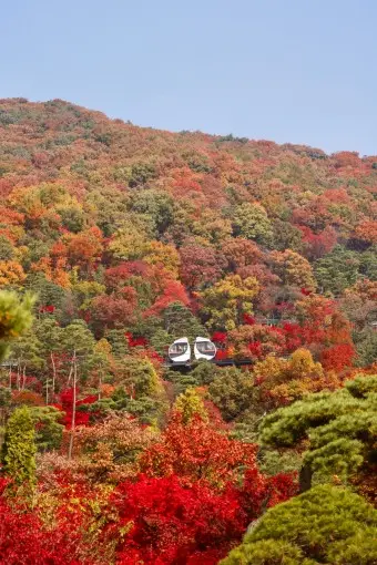 화담숲; 예매방법&amp;#44; 즐기는 방법&amp;#44; 방문후기 총정리