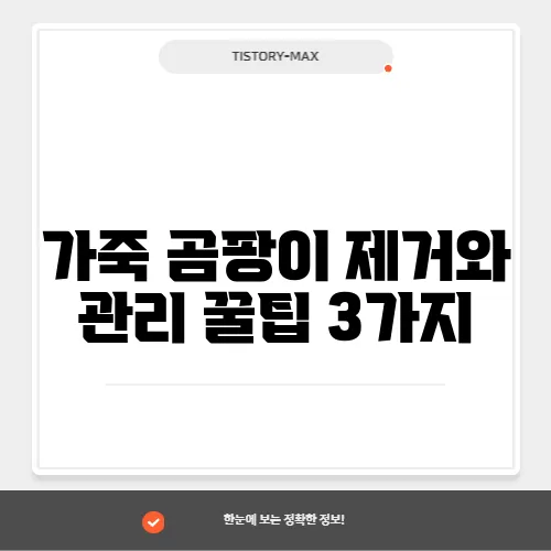 가죽 곰팡이 제거와 관리 꿀팁 3가지