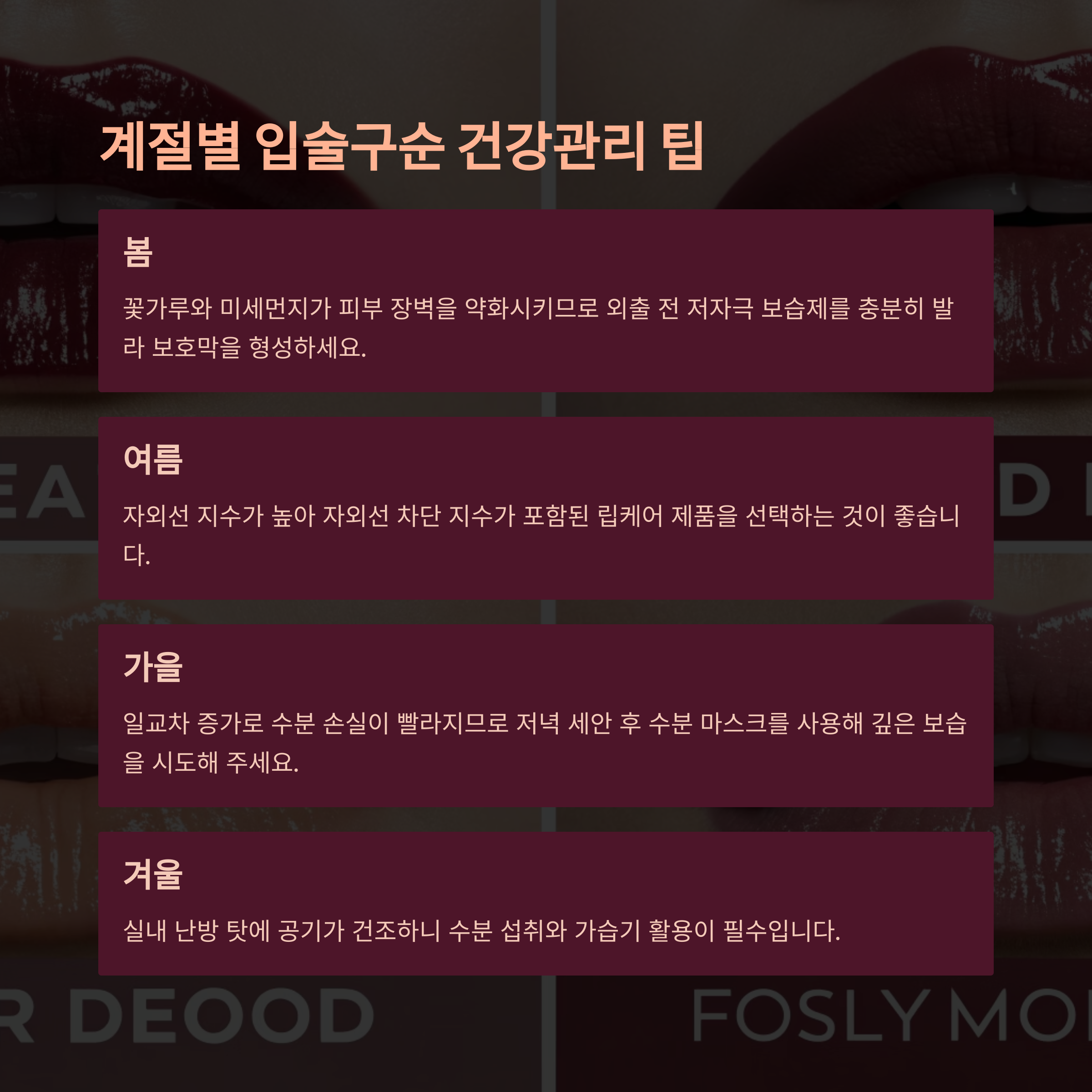 계절별 입술관리 팁