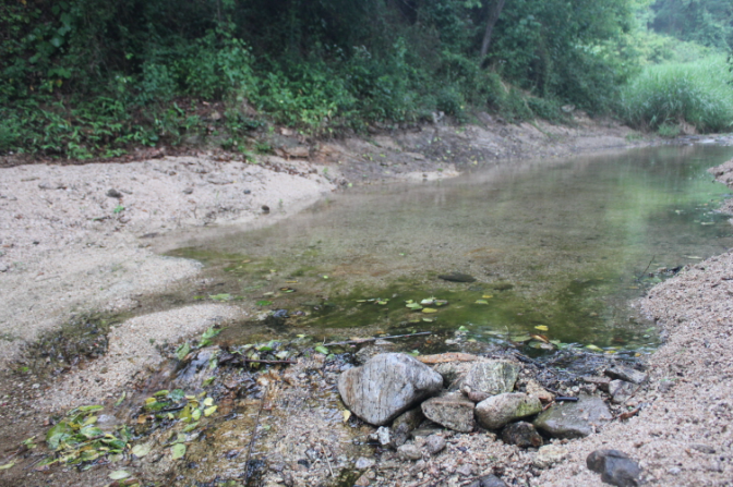 경기-포천-달빛글램핑장-사진-입니다.