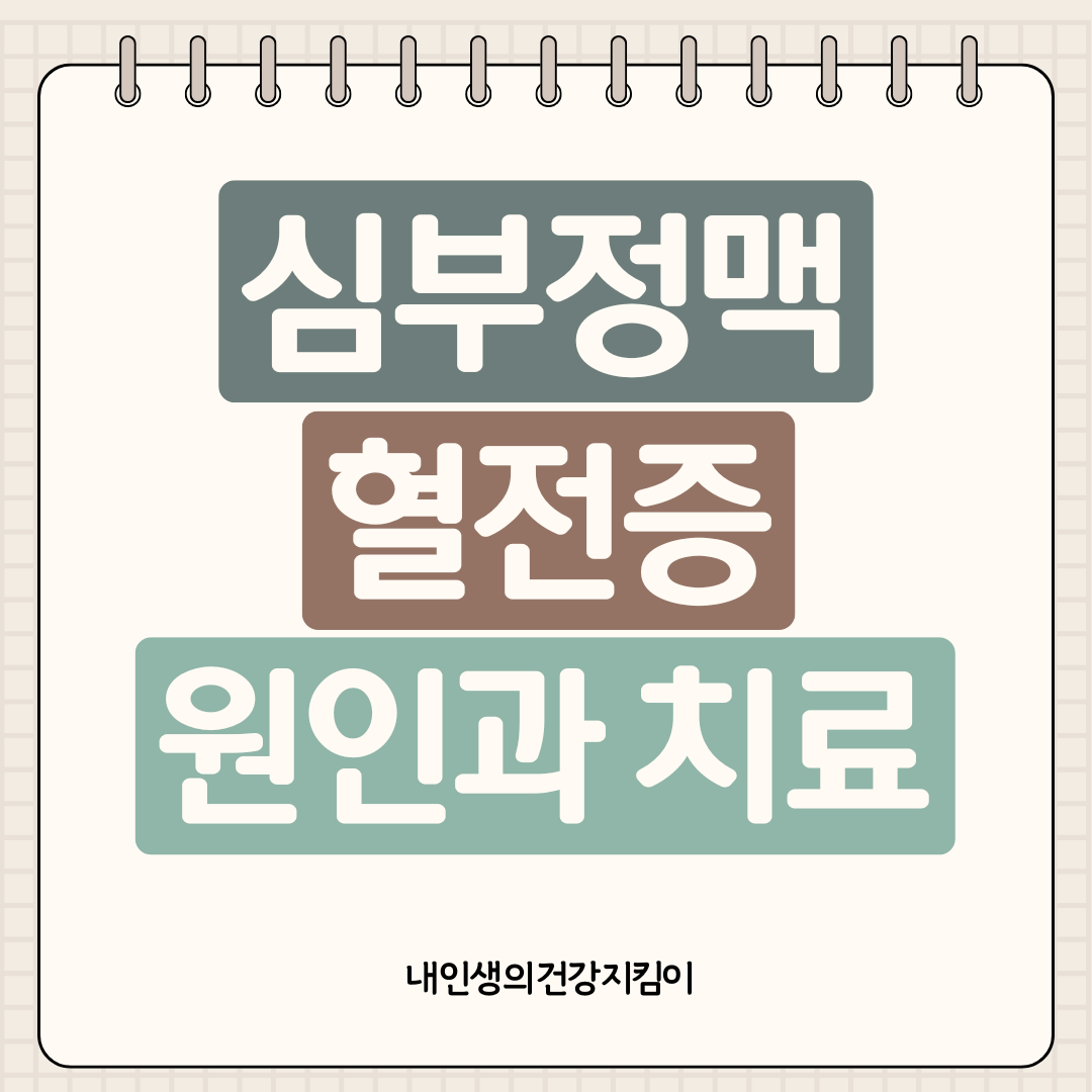 심부정맥 혈전증 원인과 치료, 장시간 앉아있으면 생기는 이유