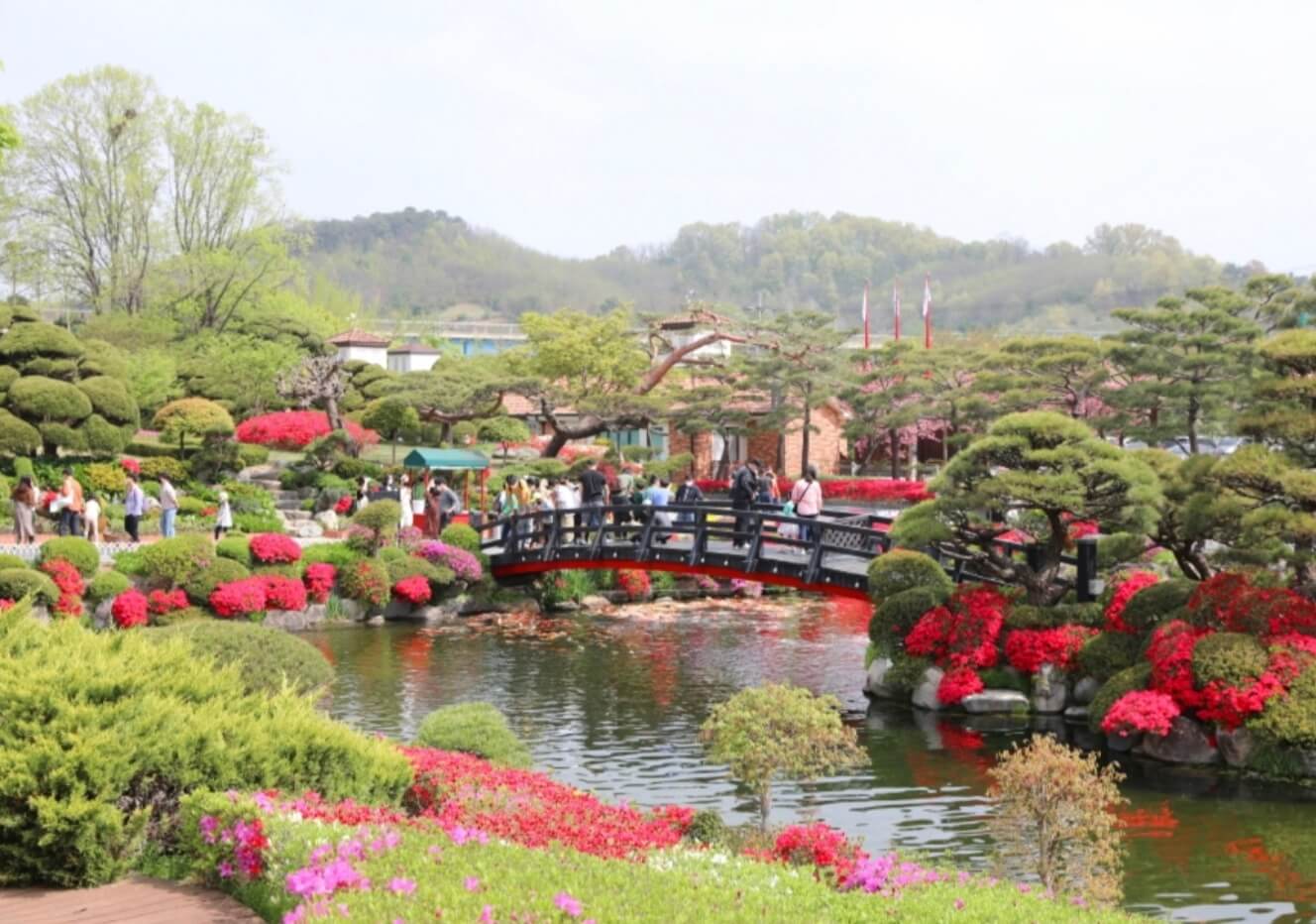 세종-베어트리-파크-철쭉제-사진