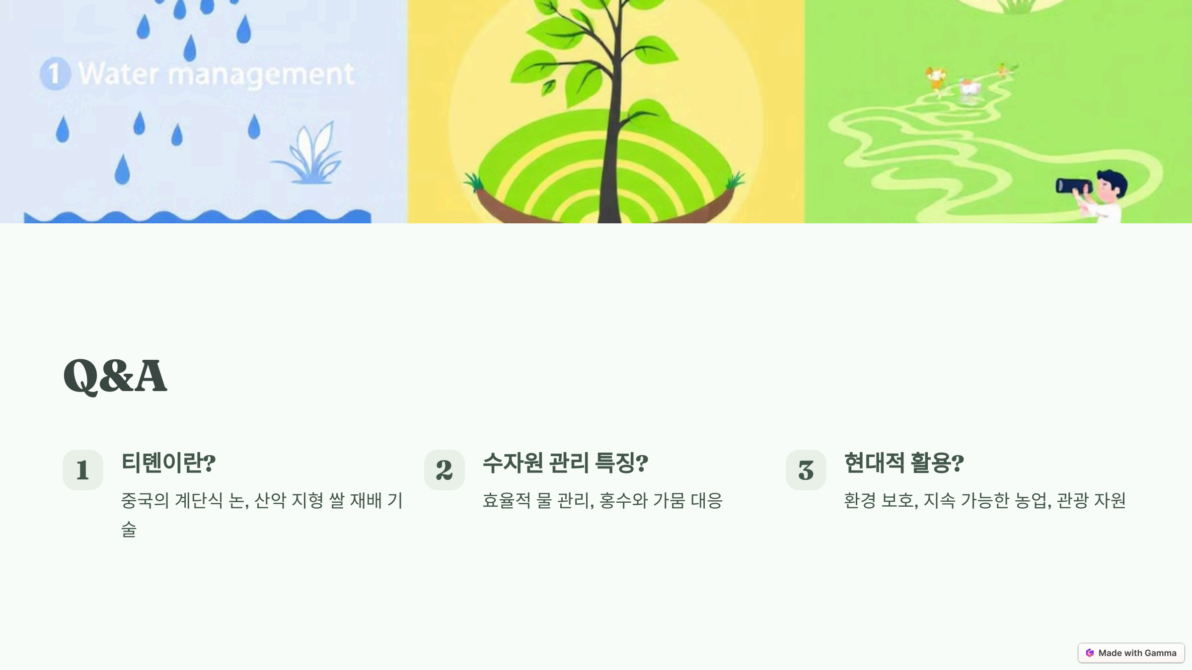 중국의 계단식 논과 수자원 관리의 역사