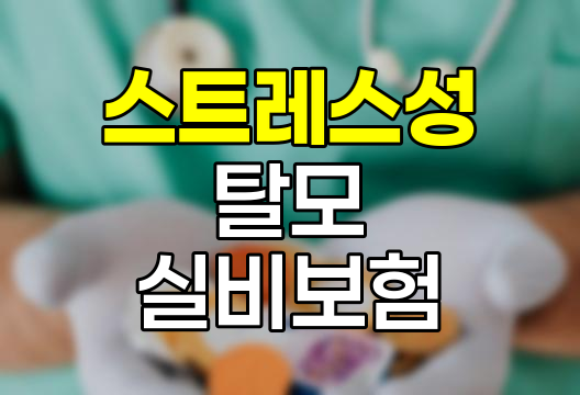 스트레스성 탈모와 실비보험 보장의 실체