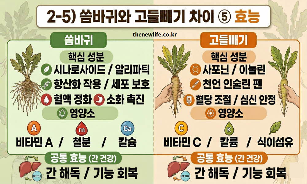 씀바귀와 고들빼기 차이점 효능