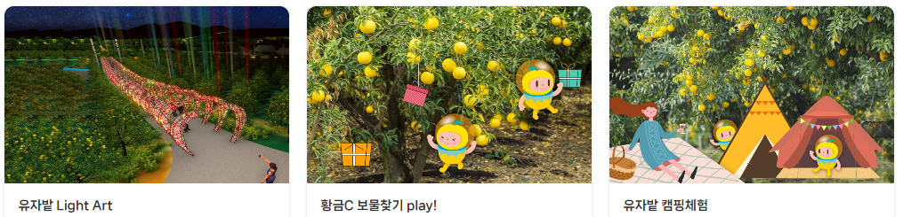 고흥 유자축제