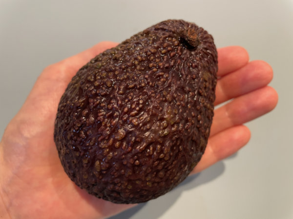 아보카도 요리하기 전에 깨끗하게 씻기