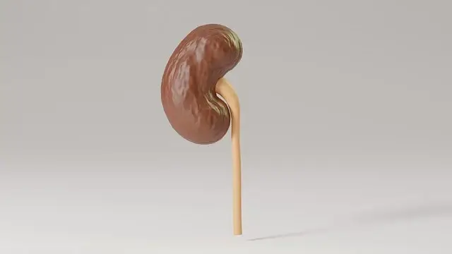 신장학 크레아티닌 정의