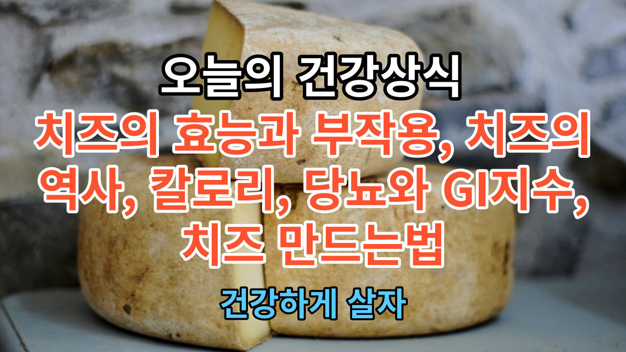 치즈의 효능과 부작용, 치즈의 역사, 칼로리, 당뇨와 GI지수,치즈 만드는법