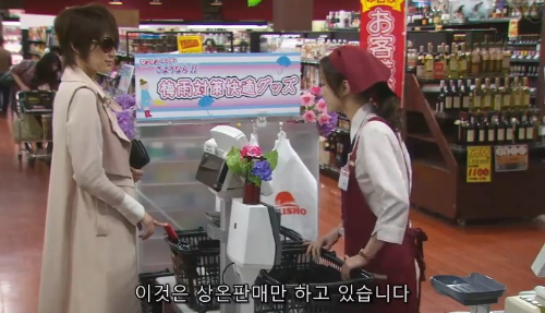 메꽃