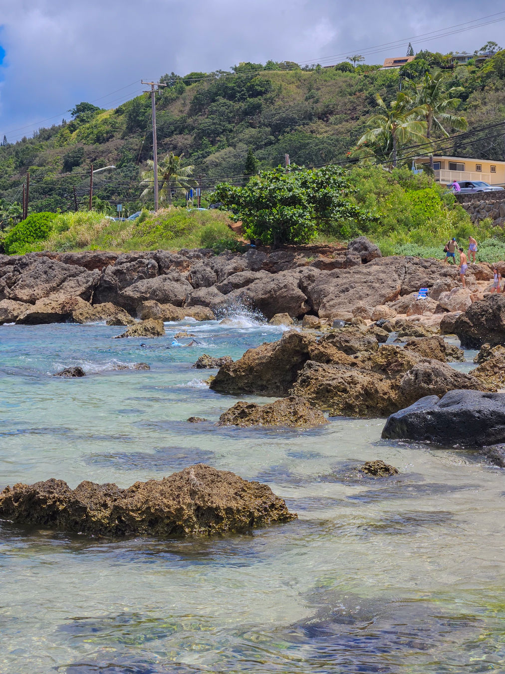 하와이 샥스코브